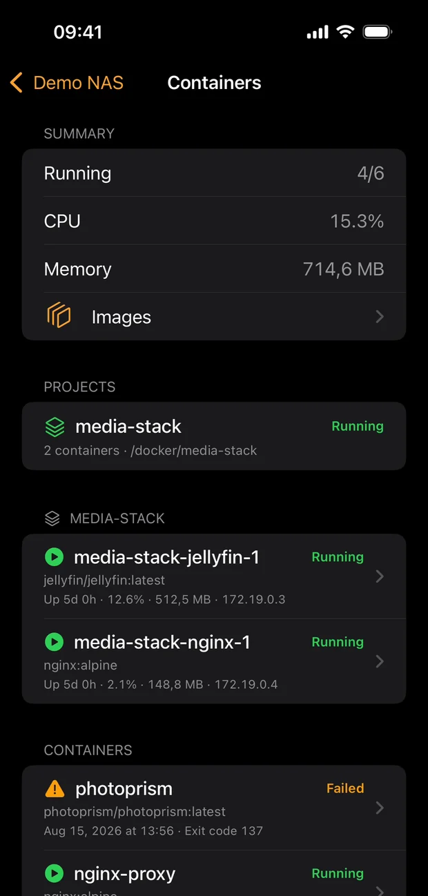 Containers detail with running containers, a failed one, CPU and memory summary
